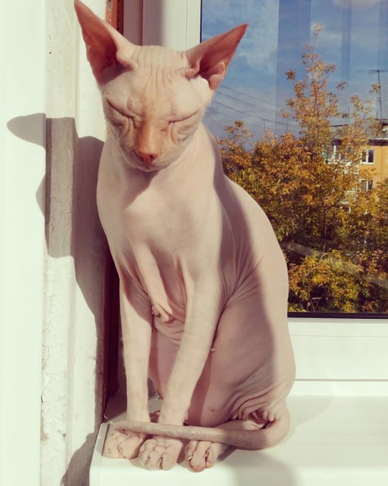 Photograph by Юлия Гагарина