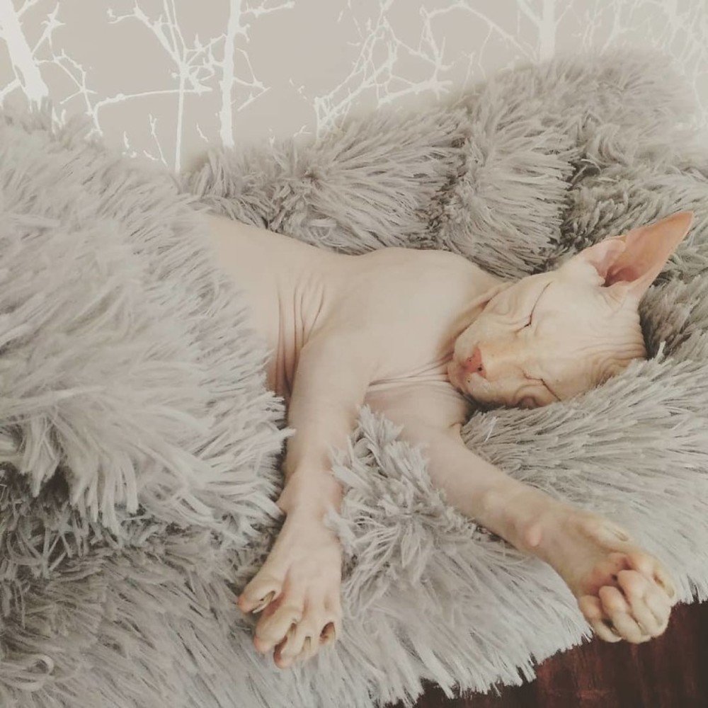 Photograph by Юлия Гагарина