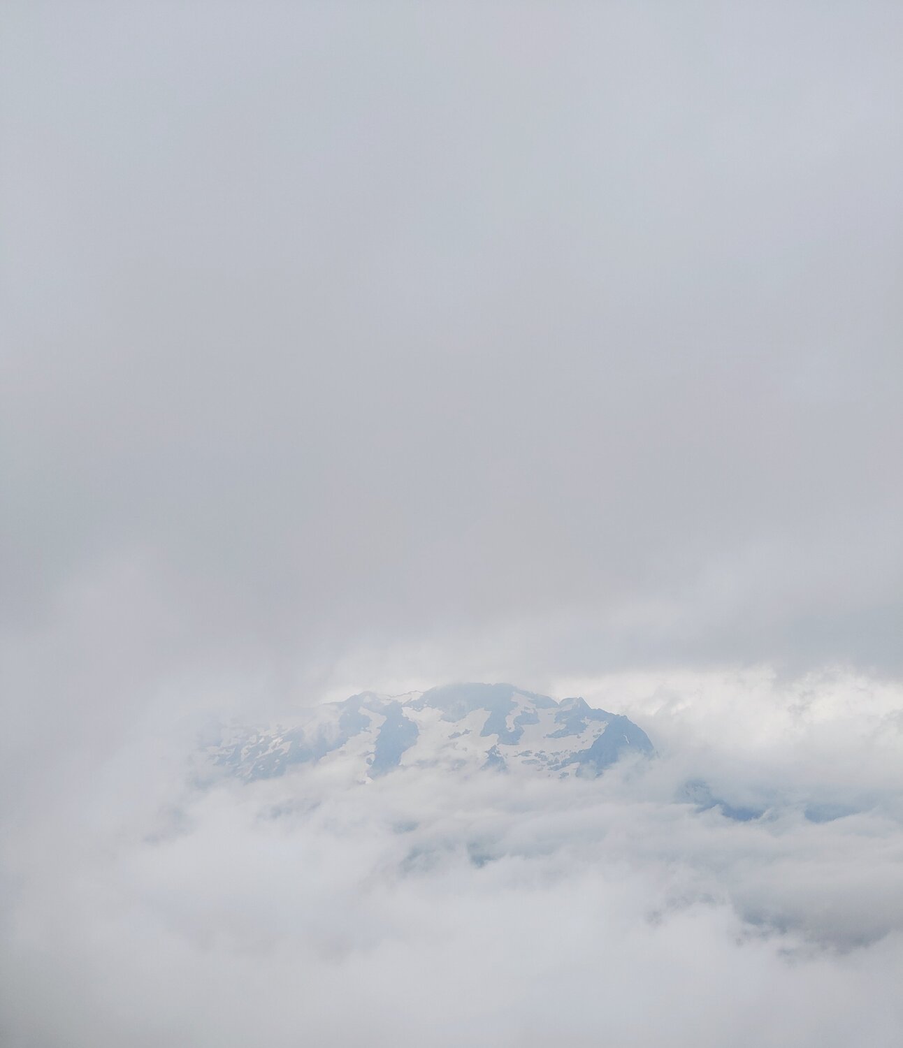 Photo #3552167