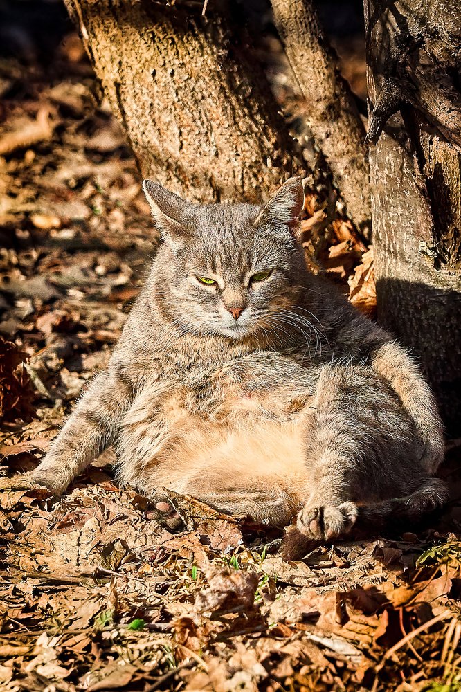 Photograph by Алексей Горшенин