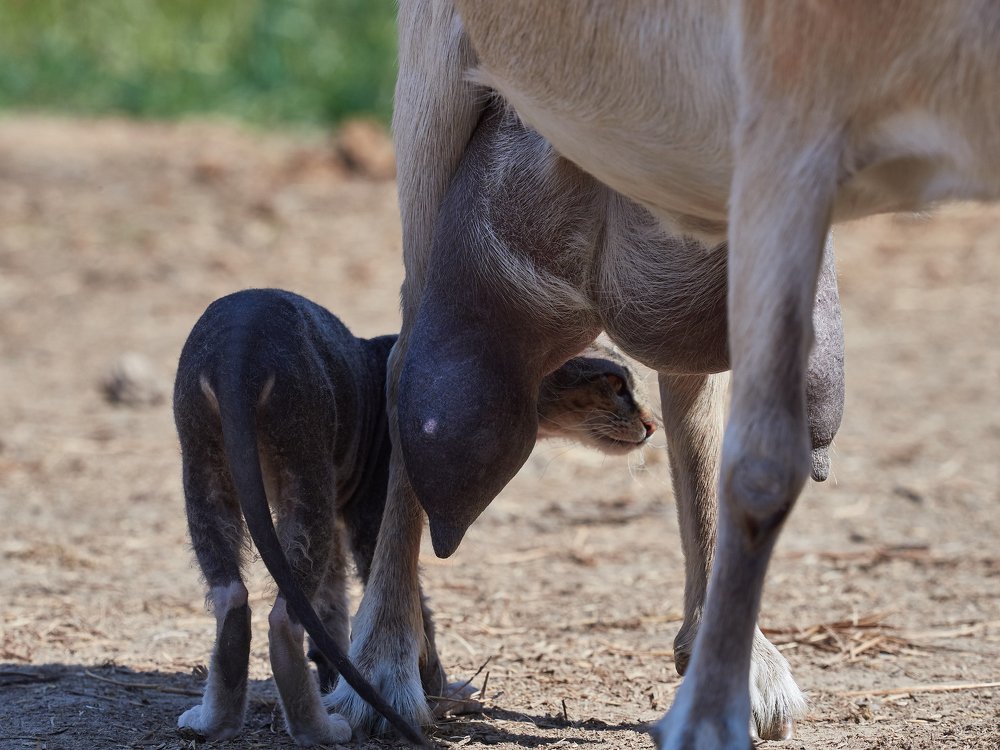 Photograph by Алексей Горшенин