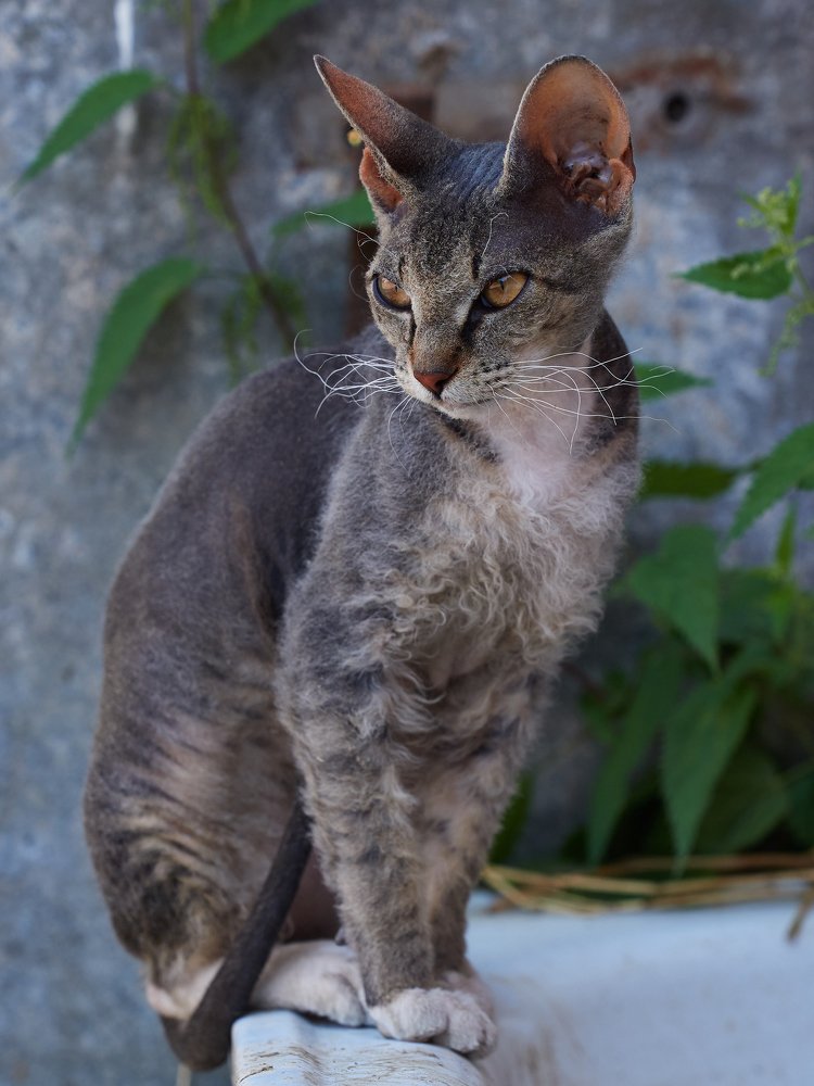 Photograph by Алексей Горшенин