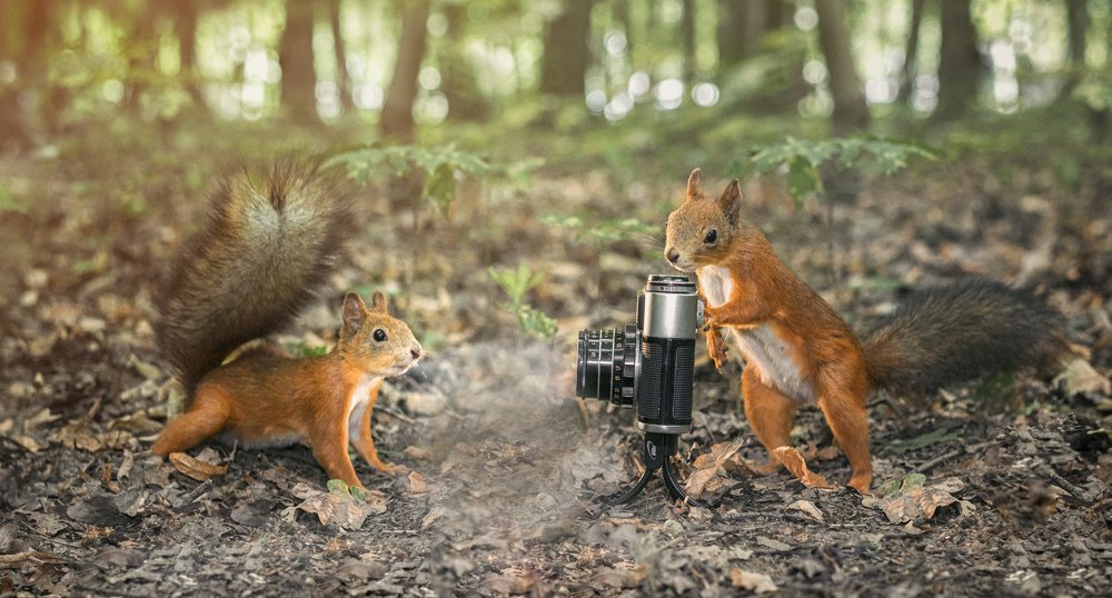 Фотография автора Марина