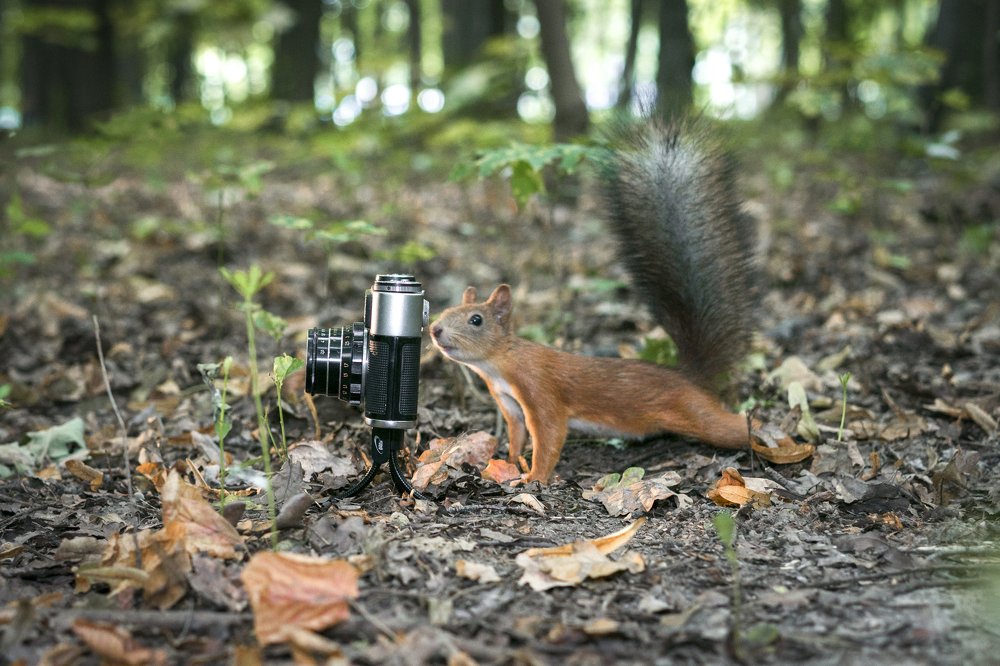 Фотография автора Марина