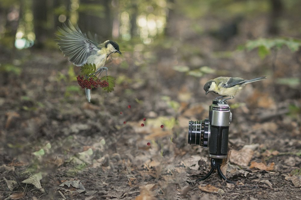 Фотография автора Марина