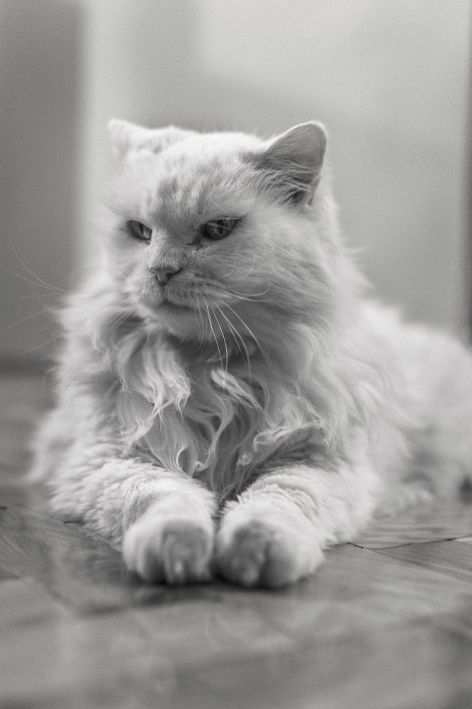 Photograph by Marko Beljan