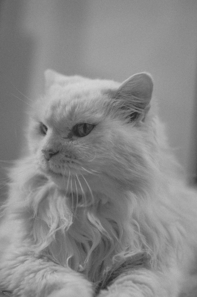 Photograph by Marko Beljan