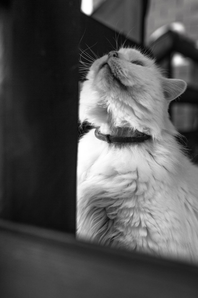 Photograph by Marko Beljan