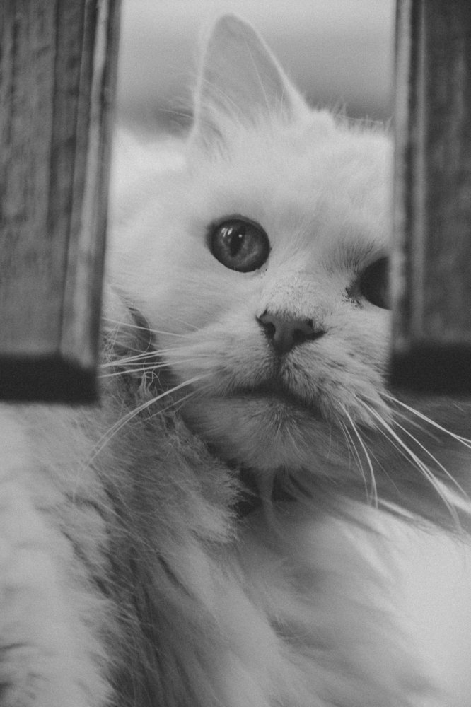 Photograph by Marko Beljan