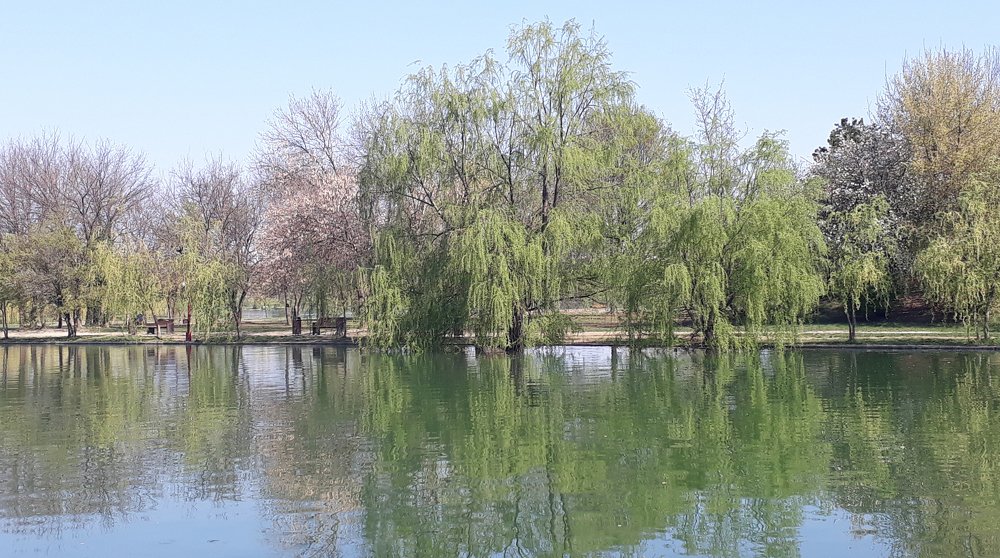 Photograph by Marius-Angel Gheorghe