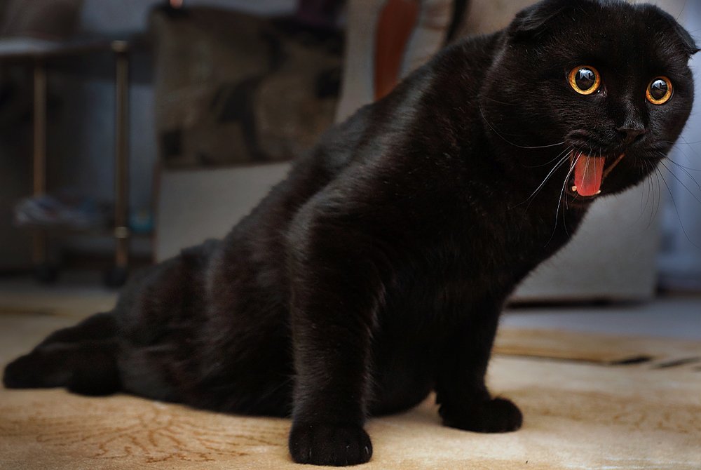 Фотография автора Матвеев Максим