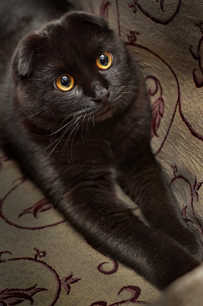 Фотография автора Матвеев Максим