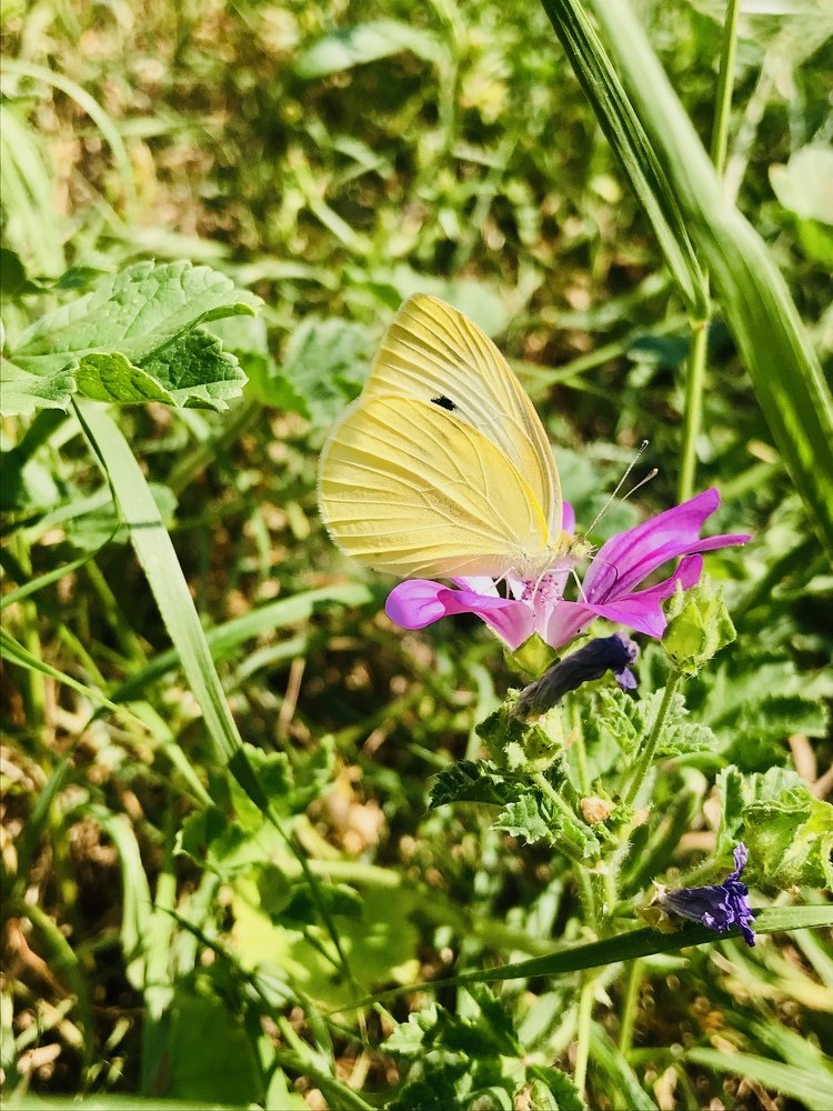 Photograph by Marilena Dragoslavic