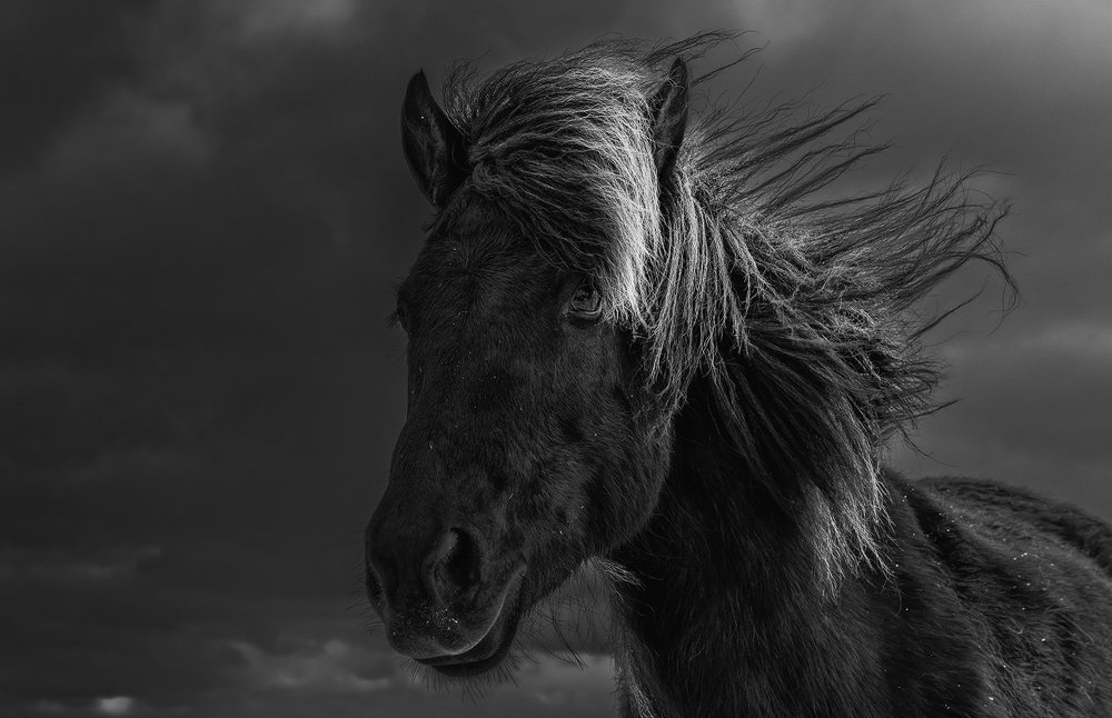 Photograph by suk eun kim