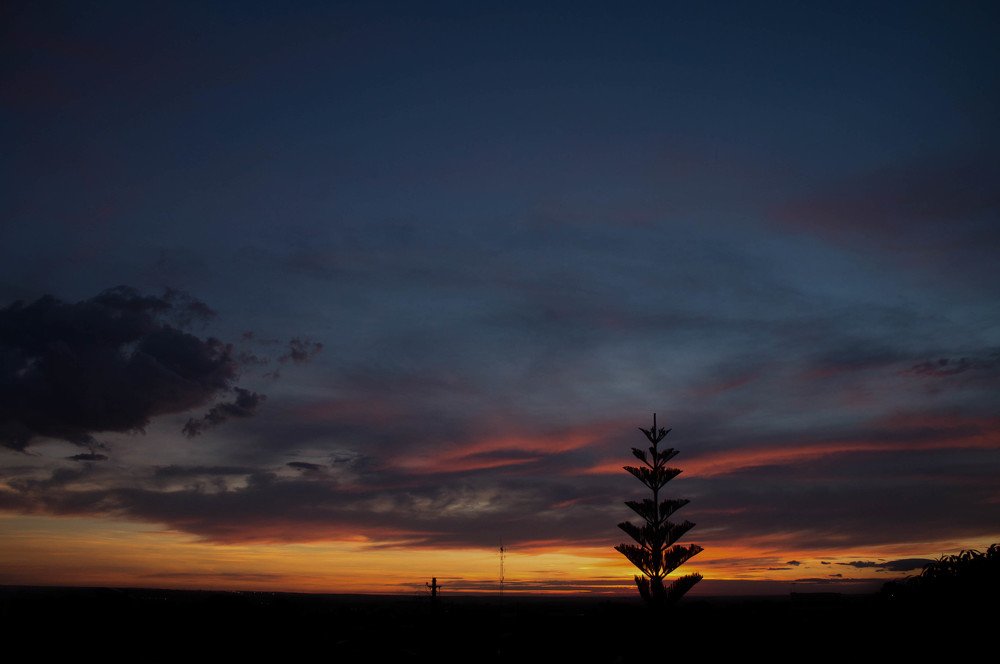 Photograph by Beatriz Rodrigues Carvalho