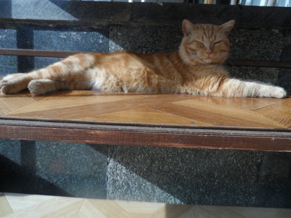 Photograph by Ирина Корнева