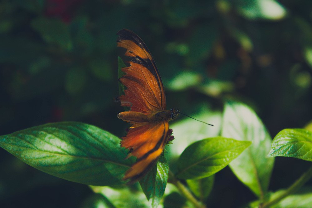 Photograph by Beatriz Rodrigues Carvalho