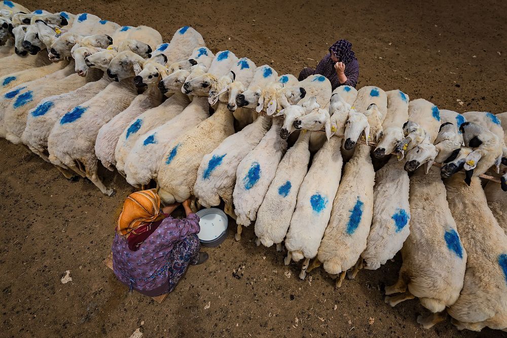Photograph by Mustafa Binol
