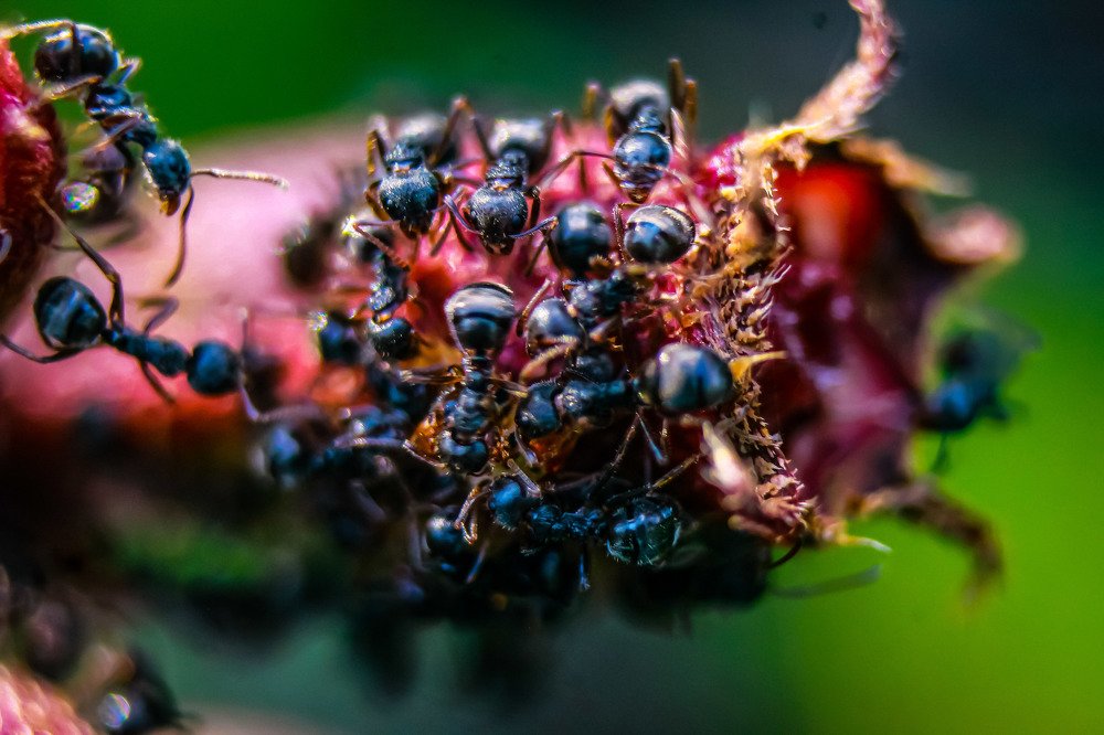 Photograph by tri yanto