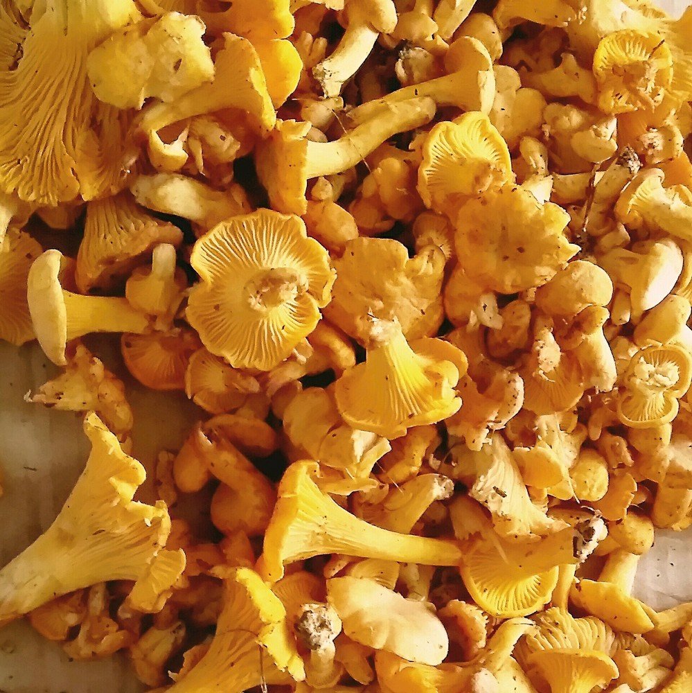 Photograph by Ирина Корнева