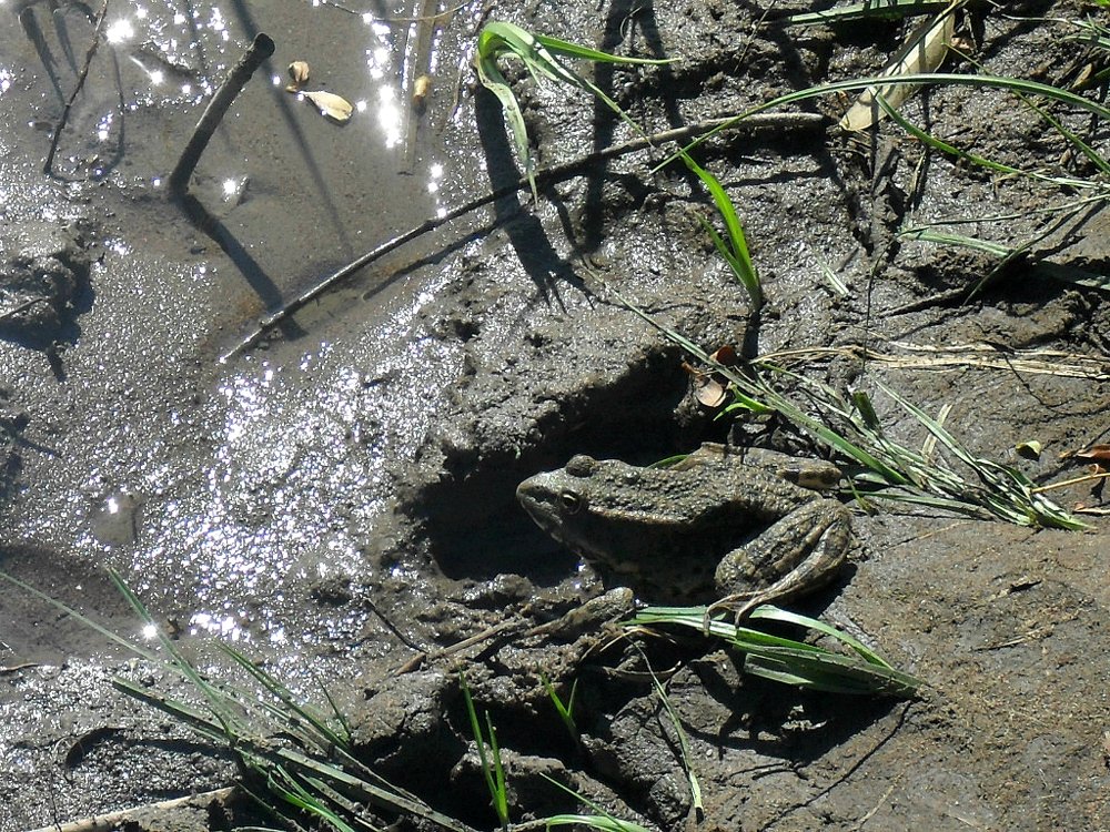 Photograph by Нина Романюк