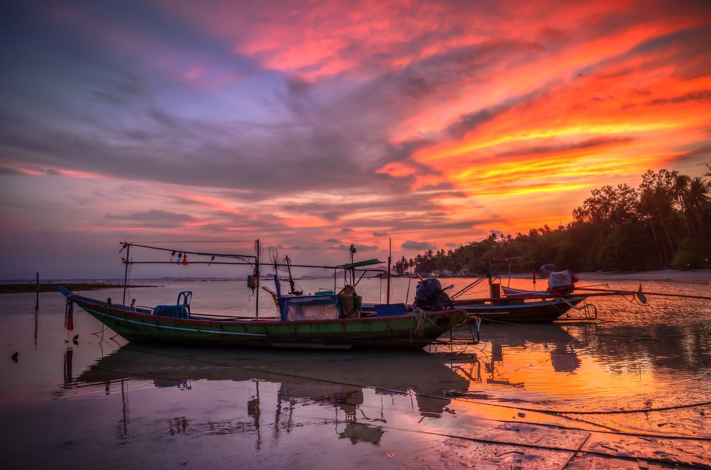 Photograph by Елена Шавловская