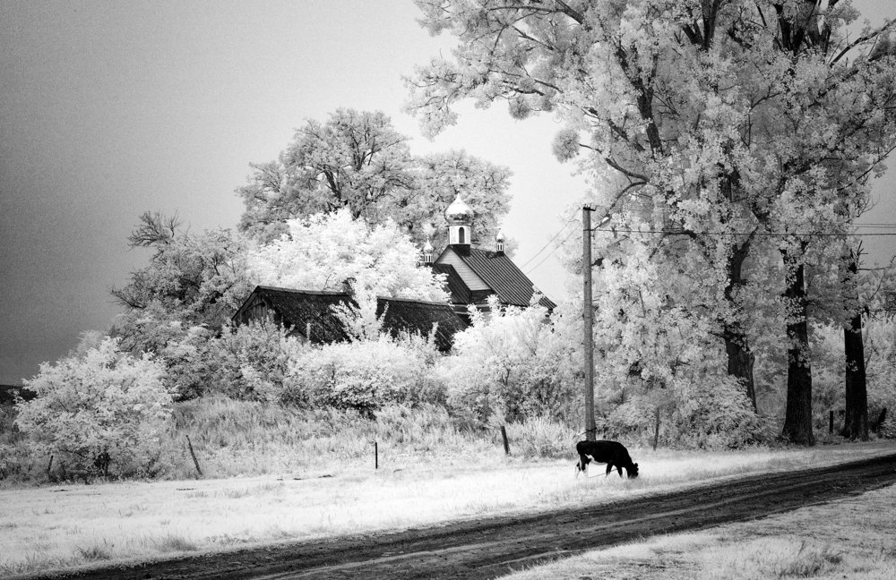 Photograph by Назарій Іванів