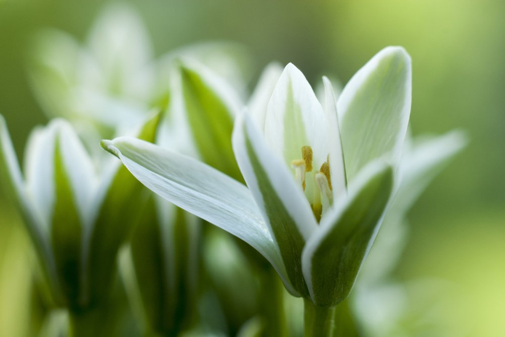 Photograph by Назарій Іванів