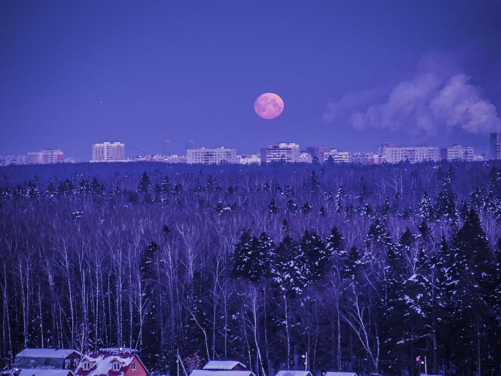 Photograph by Олеся Семенова