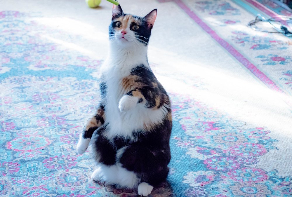 Photograph by Елена Прохорова