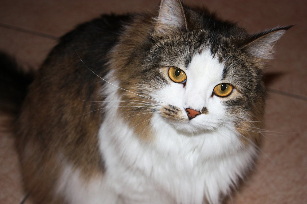 Photograph by Мария Самоловова