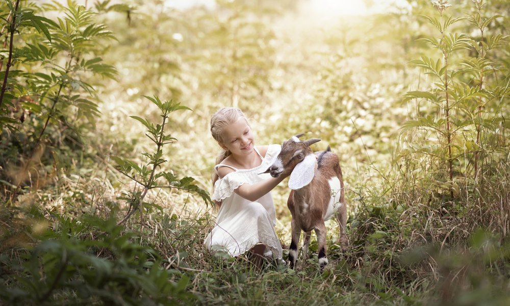 Photograph by Татьяна Панина