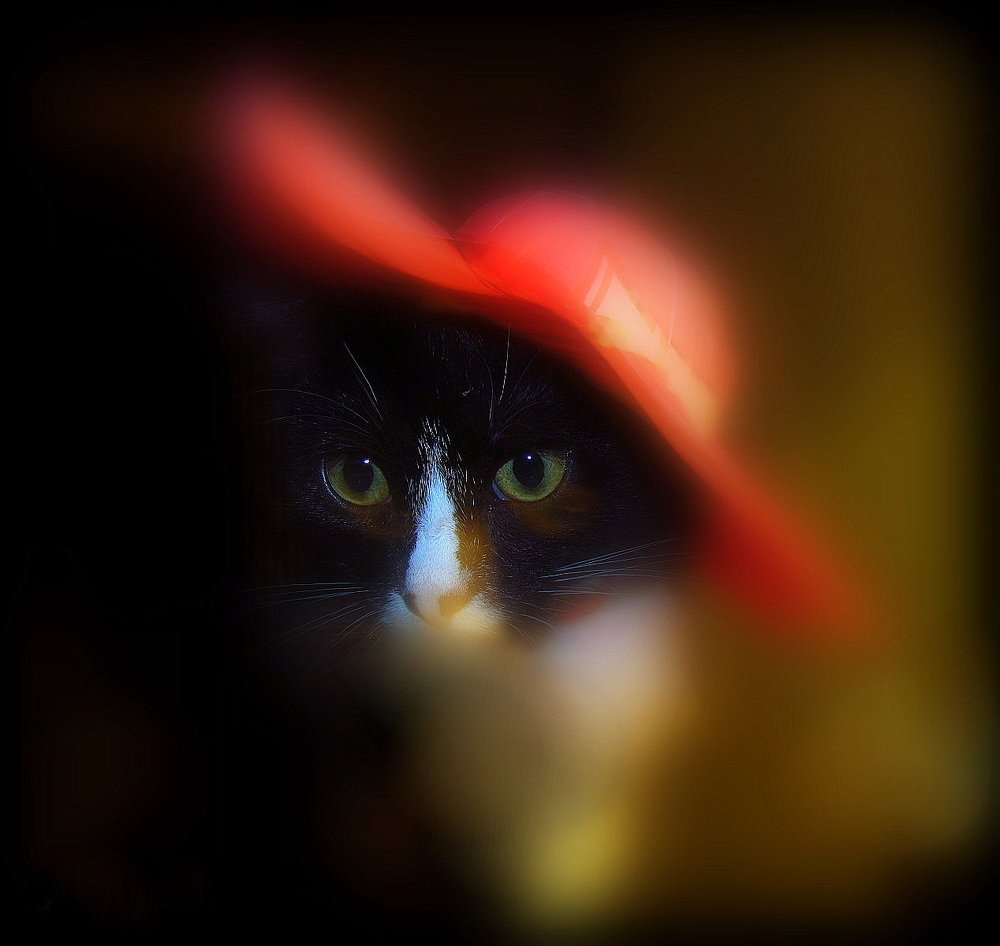 Photograph by Евгений Рогачевский