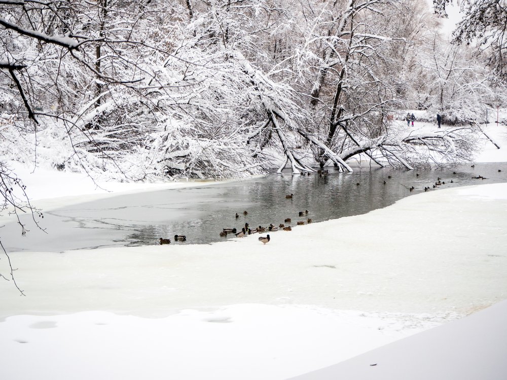 Photograph by Олеся Семенова