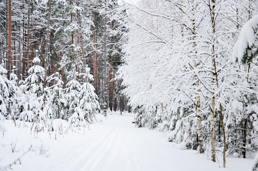 Photograph by Олеся Семенова