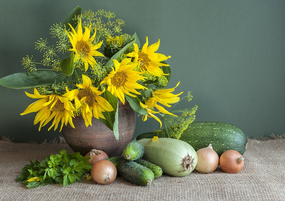 Photograph by Ольга Дядченко