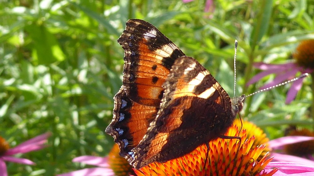 Photograph by Евгений Евдокимов