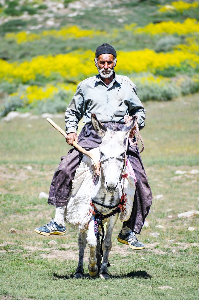 Photograph by Adl Abdolahi