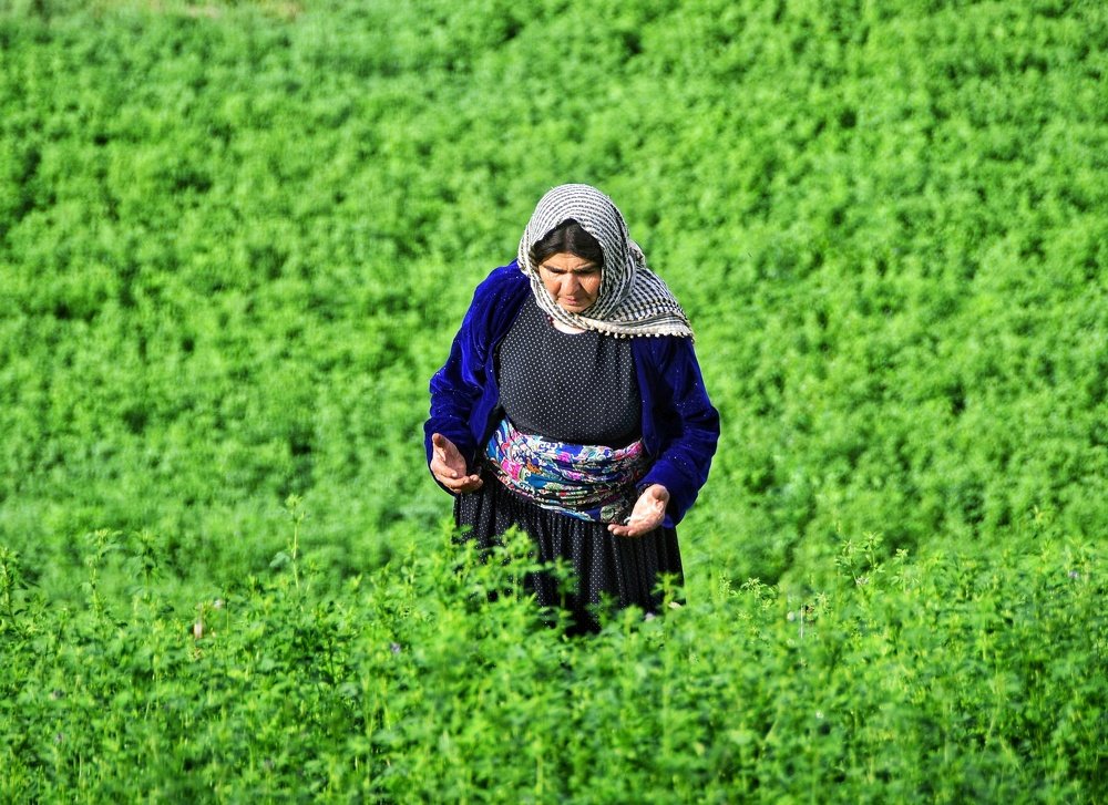 Photograph by Adl Abdolahi