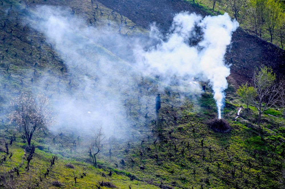 Photograph by Adl Abdolahi