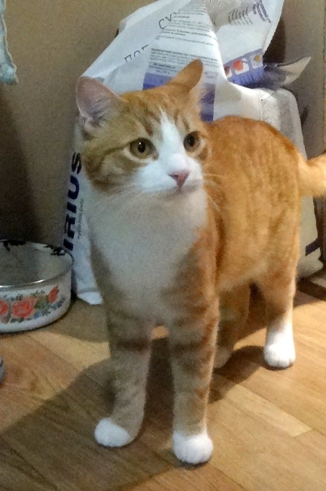 Photograph by Анатолий Мохорев