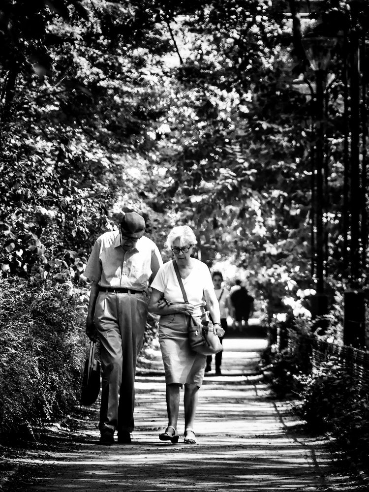 Photograph by Dan Ciupureanu