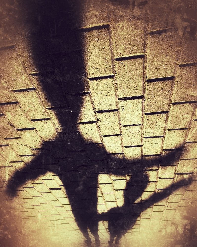 Photograph by Ольга Мукомела