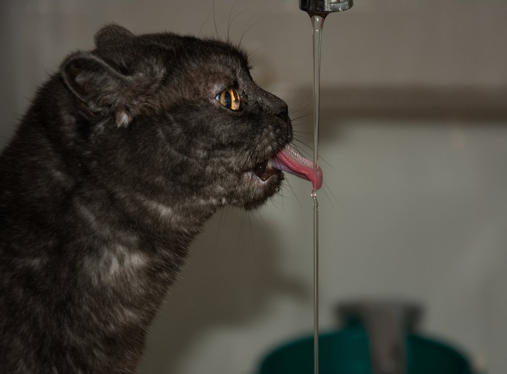 Photograph by Сергей Ослопов