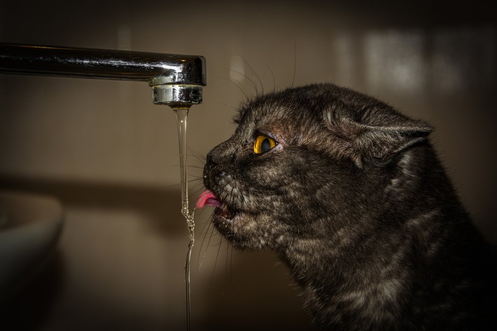 Photograph by Сергей Ослопов