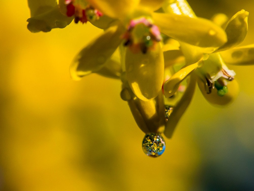 Photograph by Rimma Volchenko