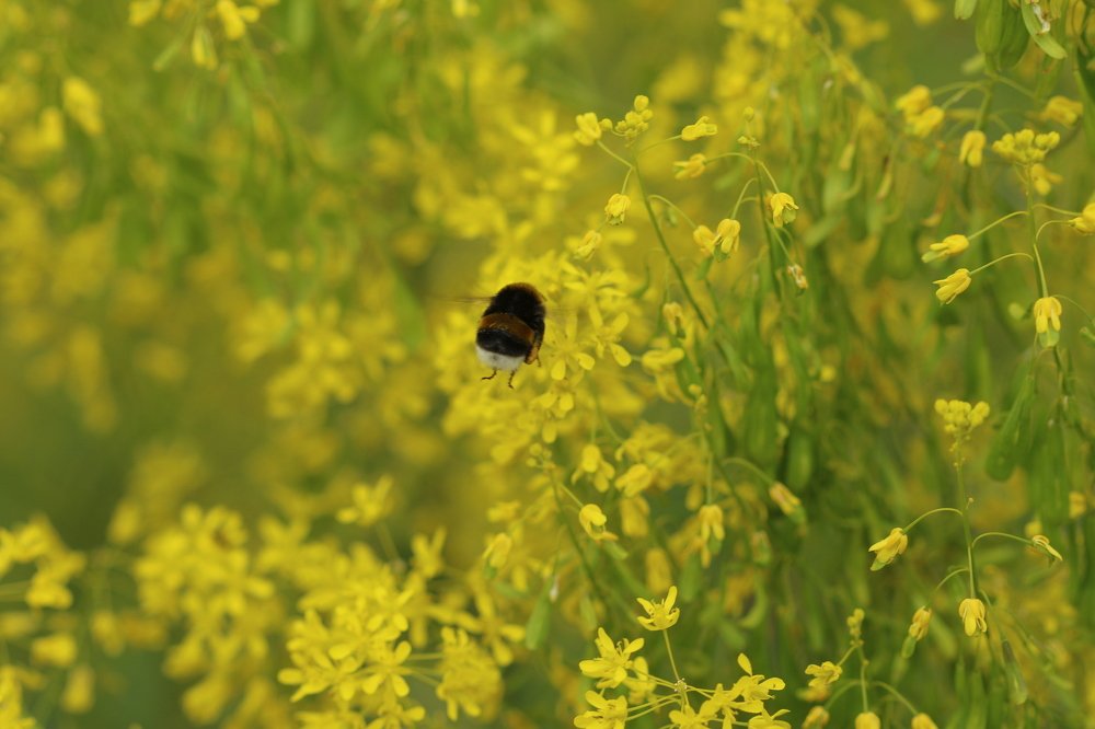 Photograph by Pauline Doran