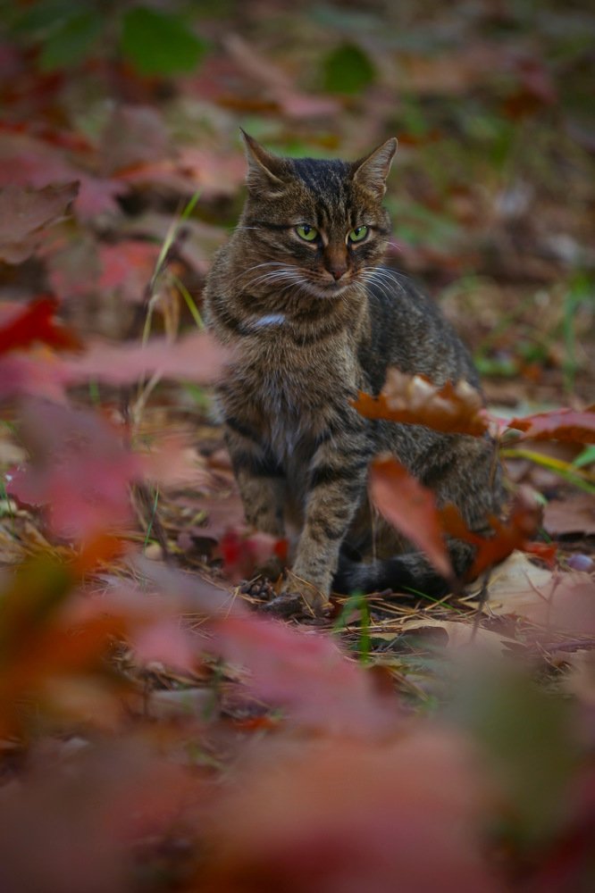 Photograph by Nataliya Mochernyuk