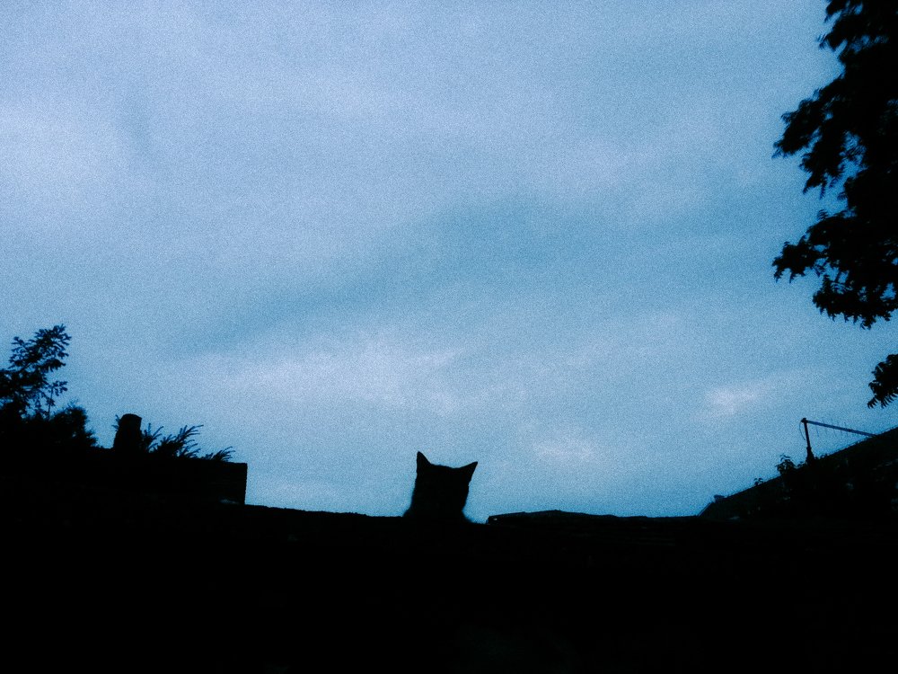 Photograph by Jana Vukomanovic