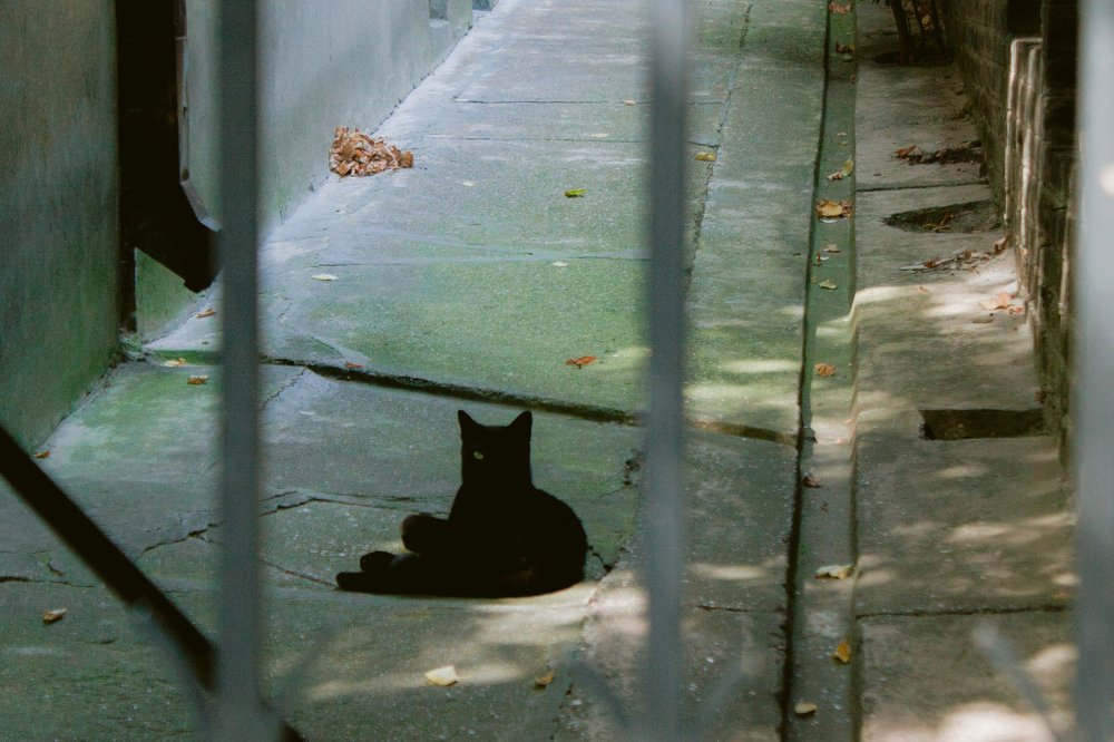 Photograph by Jana Vukomanovic